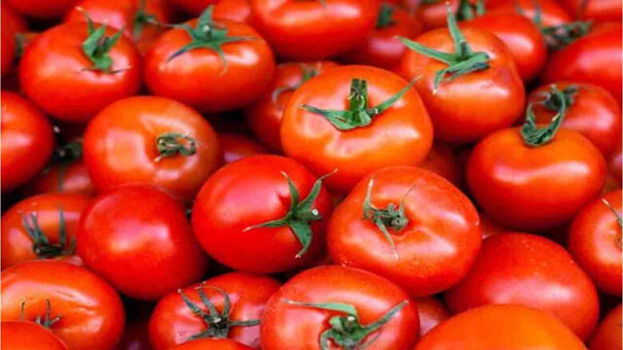 Tomato | దిగివస్తున్న టమాట.. మదనపల్లె మార్కెట్లో కిలో ధర ఎంతంటే ?