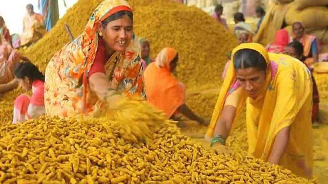 పసుపు క్వింటా @ 13,221