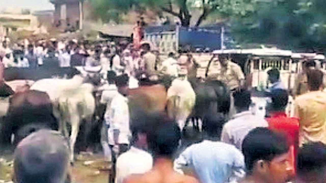 యూపీ మంత్రి కాన్వాయ్‌ని వీధి పశువులతో అడ్డగింత