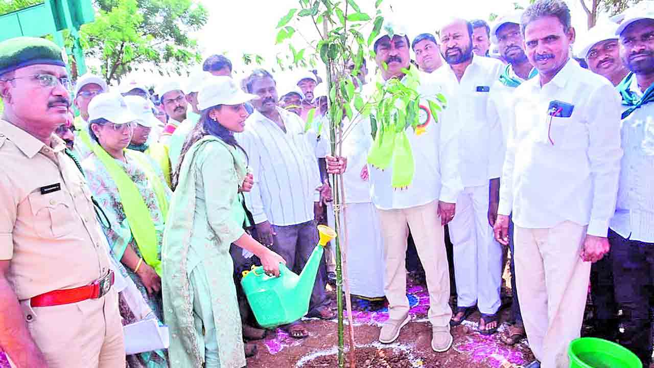 కొత్తగా సంపద వనాలు