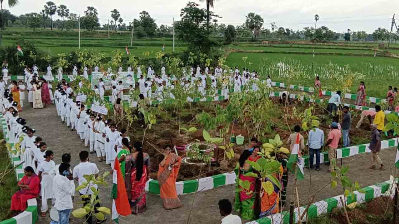 పండుగలా కోటి వృక్షార్చన