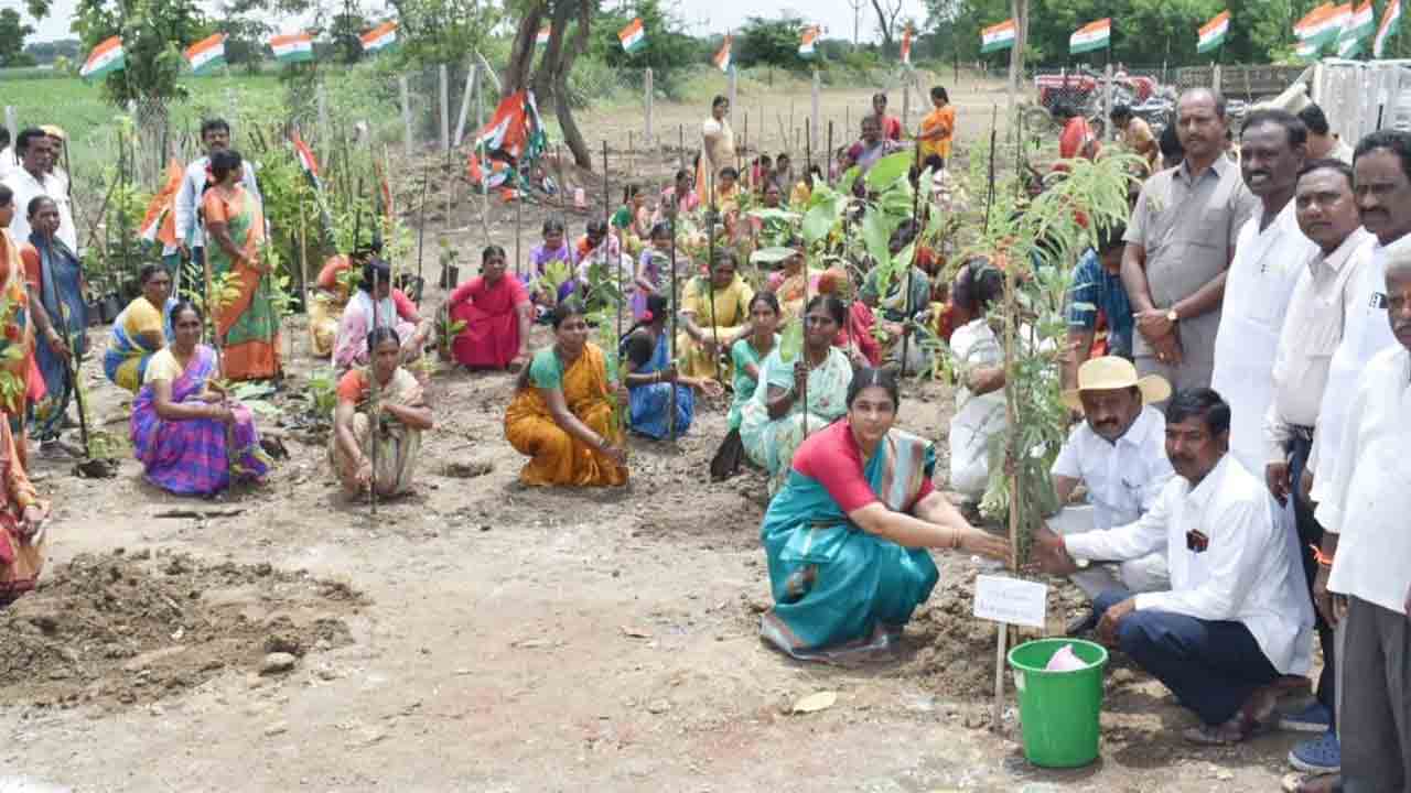 హరితోద్యమం