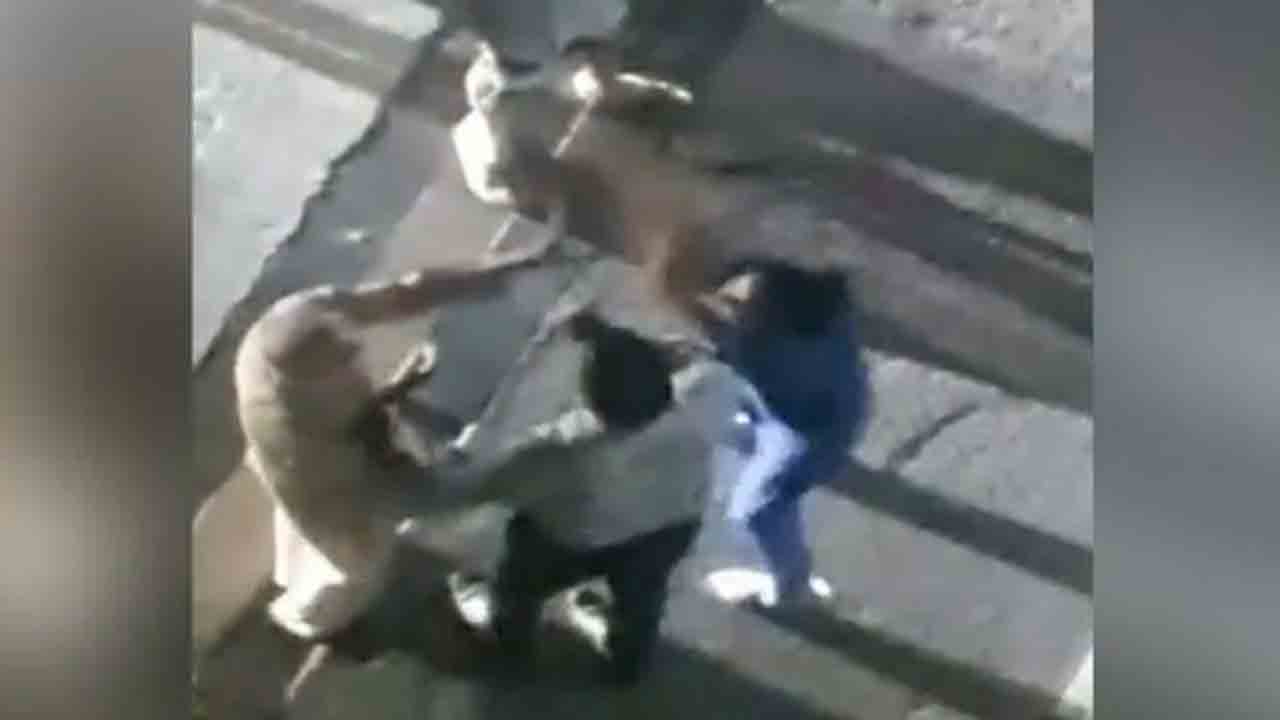 Watch: వీధి కుక్కలకు ఆహారం పెట్టడంపై వృద్ధుడు అభ్యంతరం.. కర్రతో దారుణంగా కొట్టిన మహిళ