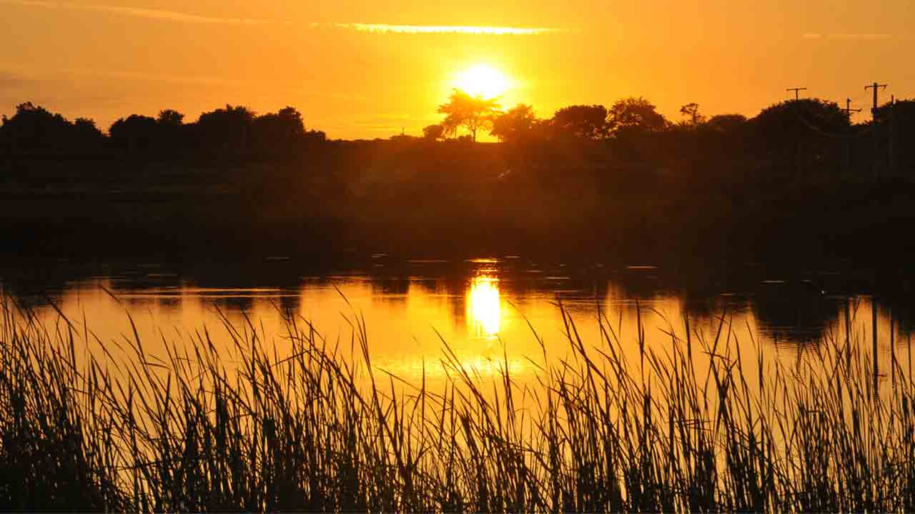 చిత్రం.. సజీవ సాక్ష్యం