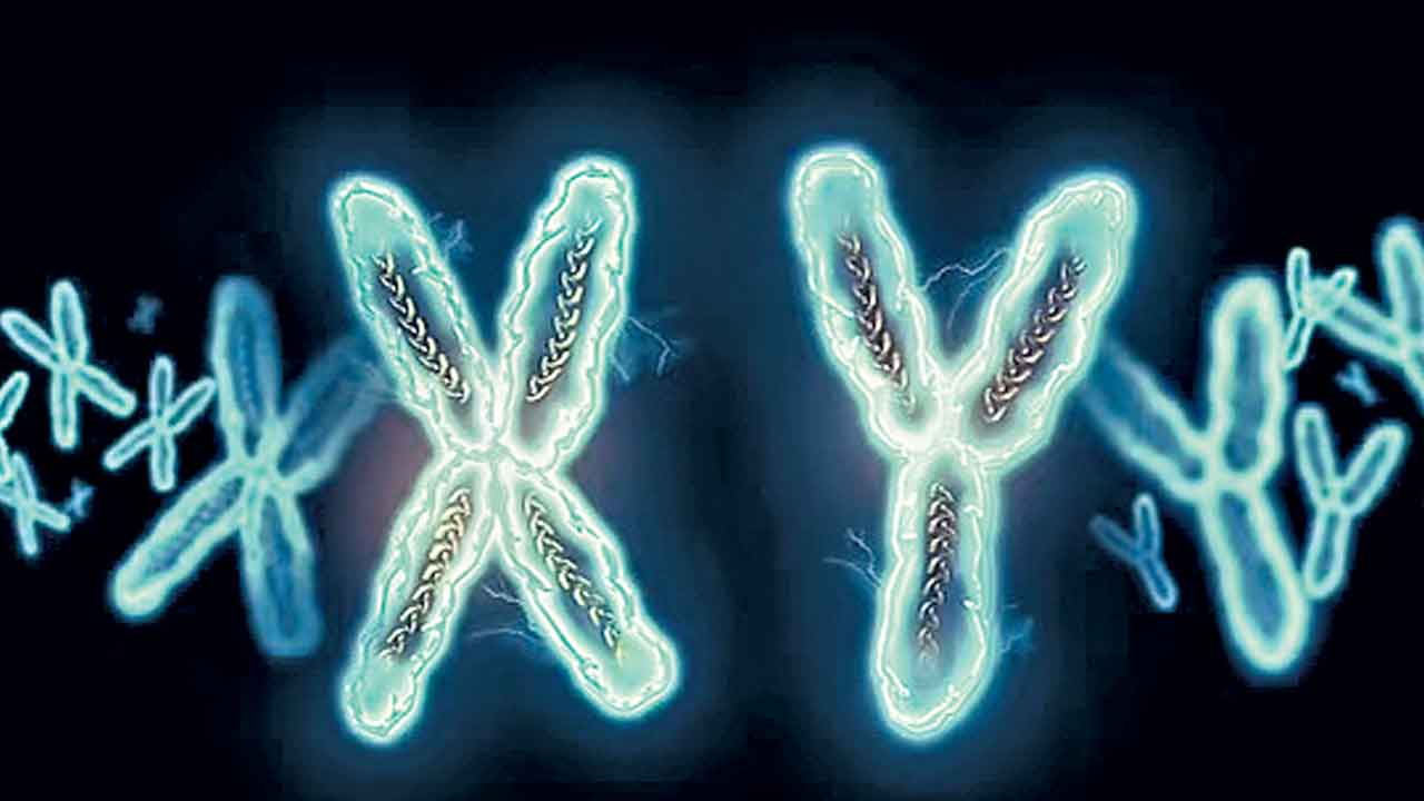 వై క్రోమోజోమ్‌ల పూర్తి జన్యుక్రమం ఆవిష్కరణ