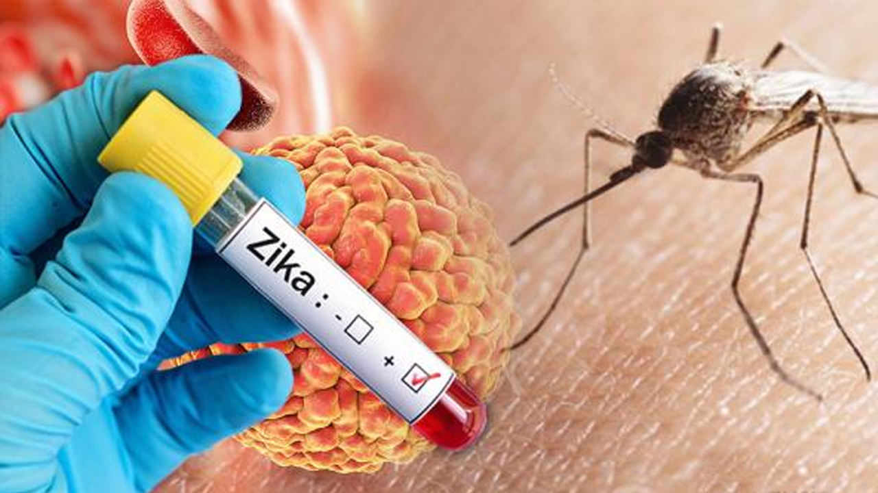 Zika Virus | భారత్‌లో జికా కలకలం.. ముంబయిలో ఓ వ్యక్తికి వైరస్‌ పాజిటివ్‌ !