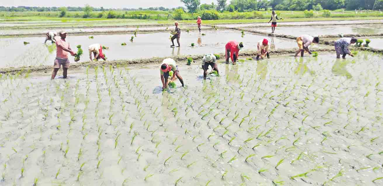 వలస జిల్లాకే.. వలసలు