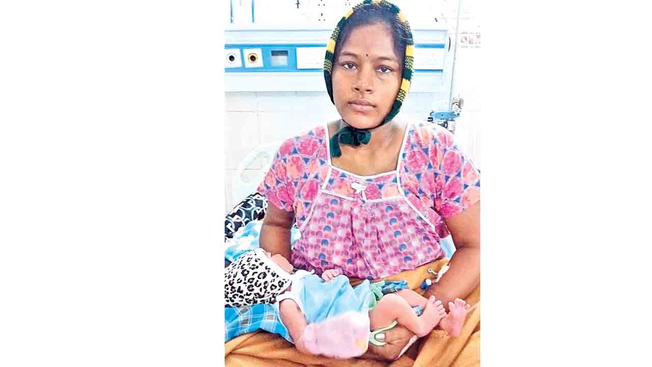 ప్లాసెంటా ప్రక్రిటాతో పునర్జన్మ