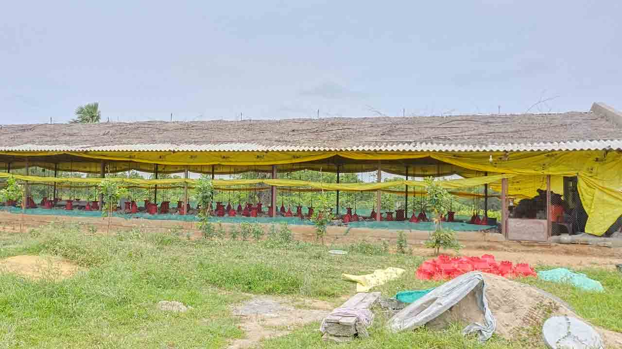 దళిత బంధు దర్జాగా..