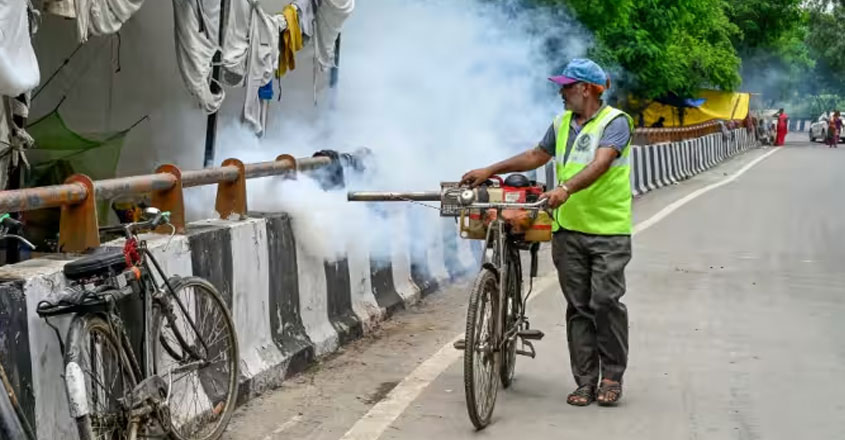 Dengue Cases: ఢిల్లీలో పెరుగుతున్న డెంగ్యూ కేసులు.. ఈ లక్షణాలుంటే జాగ్రత్తపడాల్సిందే