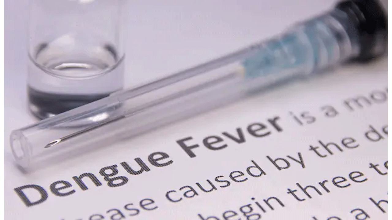 Health Tips | డెంగ్యూతో రోగ నిరోధకవ్యవస్థ దెబ్బతిన్నదా.. ఇదిగో ఈ చిట్కాలు పాటిస్తే బెటర్‌!