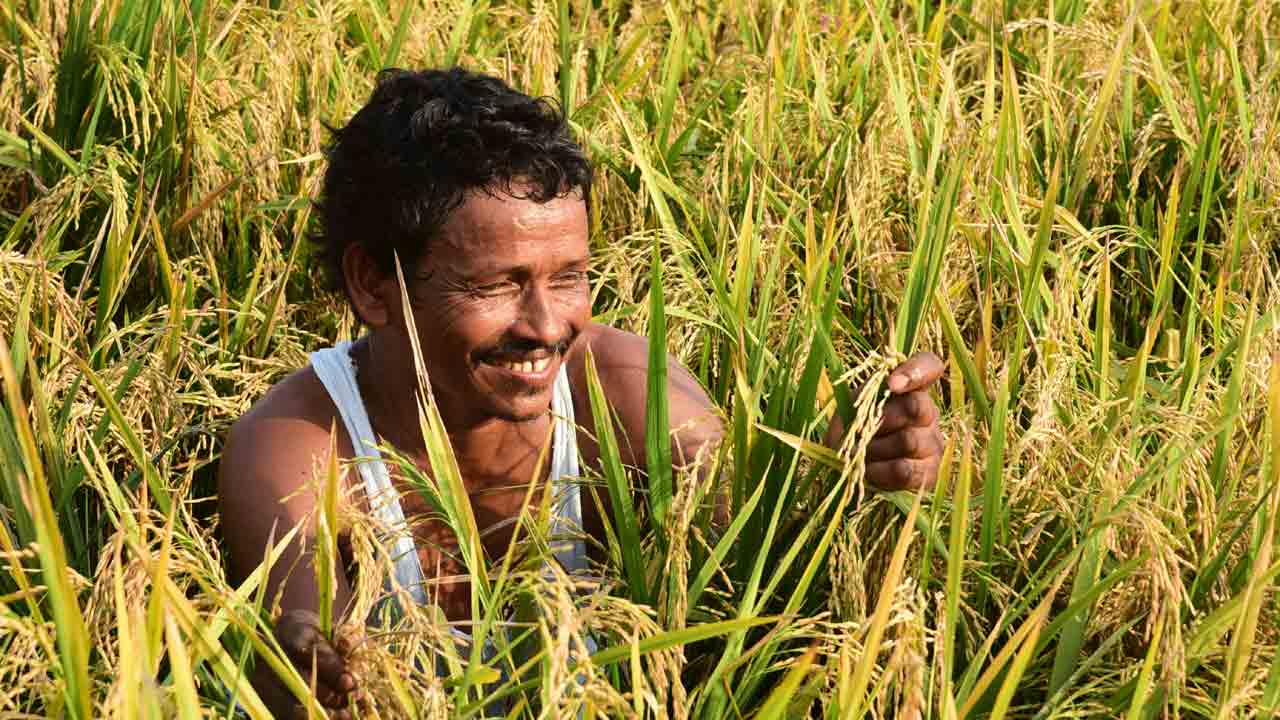 Crop Loan |  నేటి నుంచి రైతుల రుణమాఫీ.. కేంద్రం, కరోనా వల్లే ఆలస్యమైందని స్పష్టం చేసిన సీఎం కేసీఆర్‌
