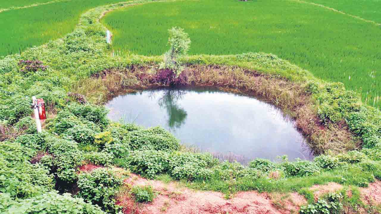 పాతాళగంగ.. మీటరు లోపే