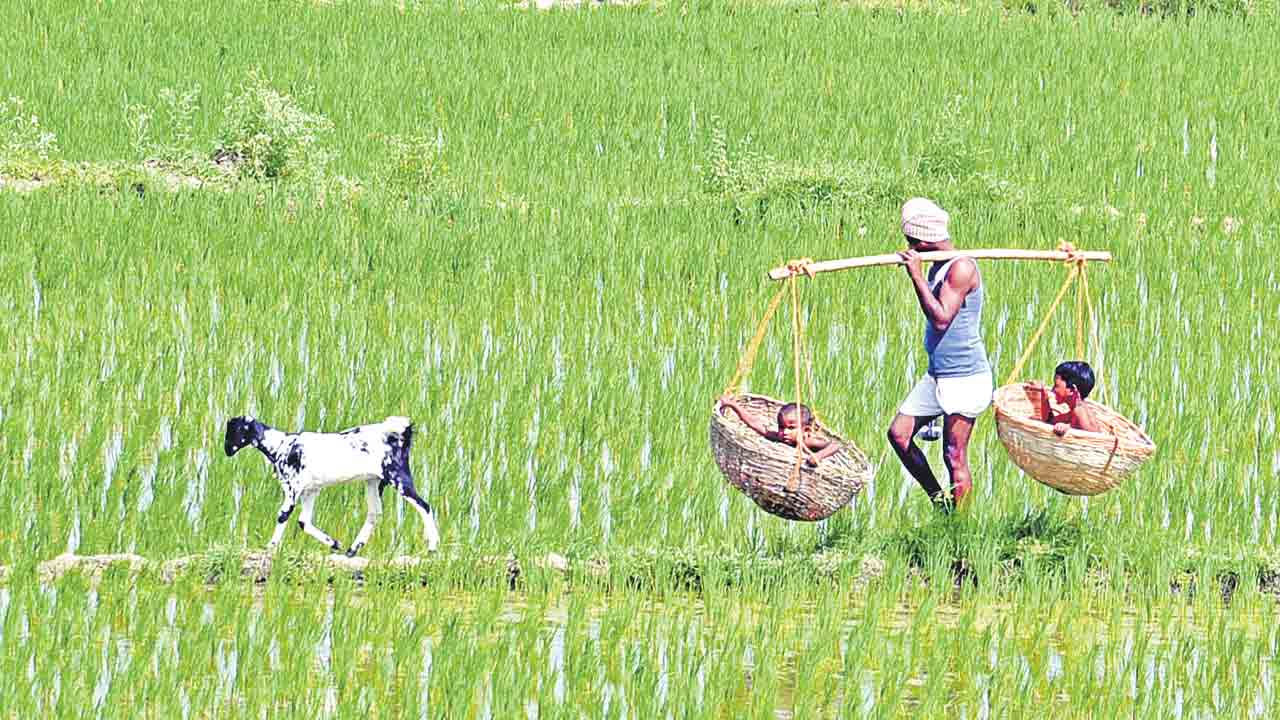 రేపు ఫొటోగ్రఫీ అవార్డుల ప్రదానం