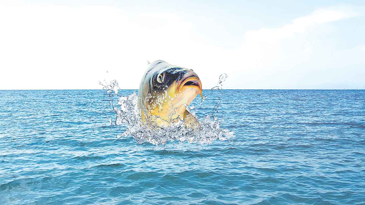 చేపల జాతర