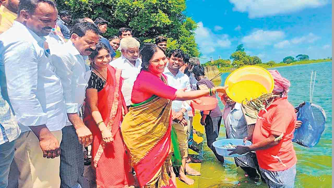 మత్స్యకారుల జీవితాల్లో వెలుగులు