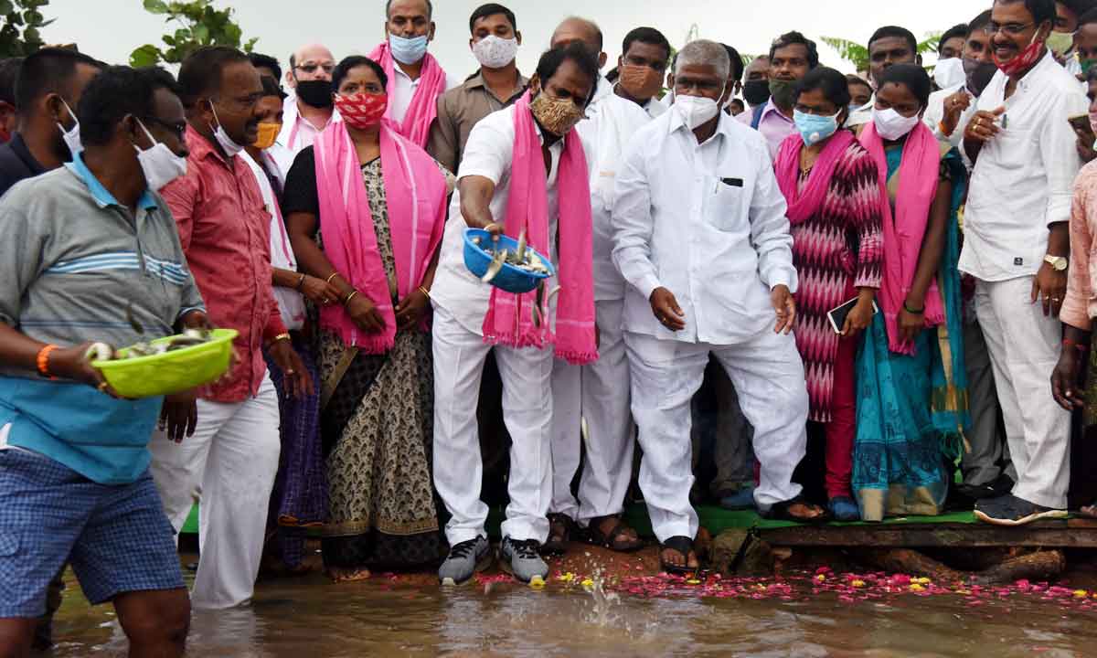 మత్స్యానందం