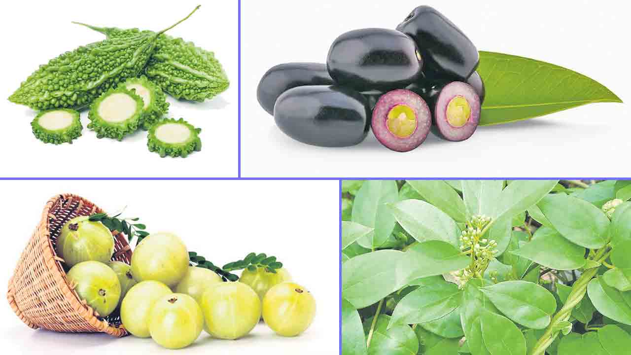 మధుమేహం.. ఆయుర్వేదం