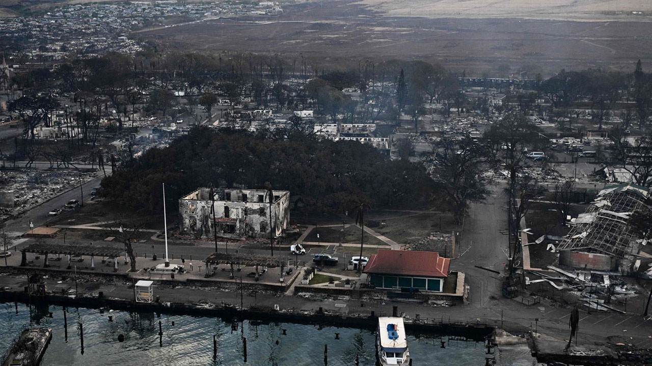 Banyan Tree: 1873లో ఇండియా నుంచి తీసుకెళ్లి నాటిన మ‌ర్రిచెట్టు.. హ‌వాయి కార్చిచ్చులో ఇలా మారింది.. ఫోటోలు