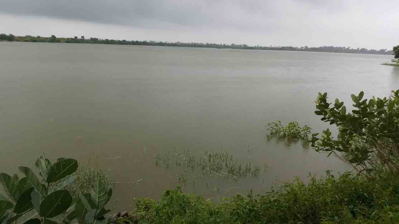 వర్షాభావంలోనూ తగ్గేదేలే..