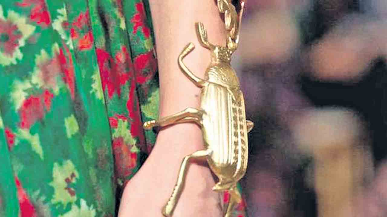 పేడ పురుగే పెద్ద ఫ్యాషన్‌!