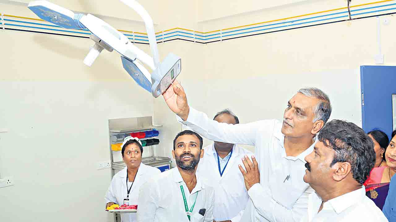 మాతాశిశు సంరక్షణలో ఆదర్శం