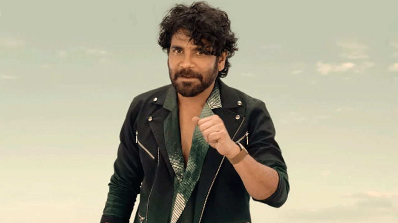 Nagarjuna | మరో కొరియోగ్రాఫర్‌కు నాగార్జున కొత్త సినిమా బాధ్యతలు.. లారెన్స్‌ రేంజ్‌లో అవుట్‌ పుట్ ఇస్తాడా?