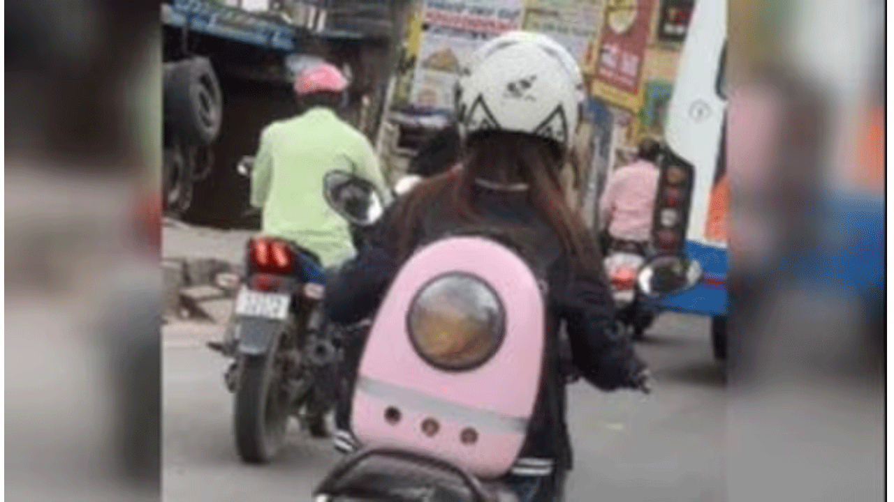 Viral Video | బ్యాక్‌ప్యాక్‌లో పెంపుడు పిల్లితో స్కూట‌ర్‌పై ప్ర‌యాణించిన మ‌హిళ‌