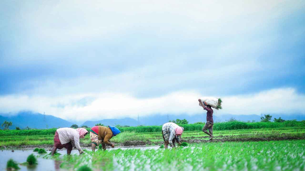 దృశ్యం.. ఒక కావ్యం