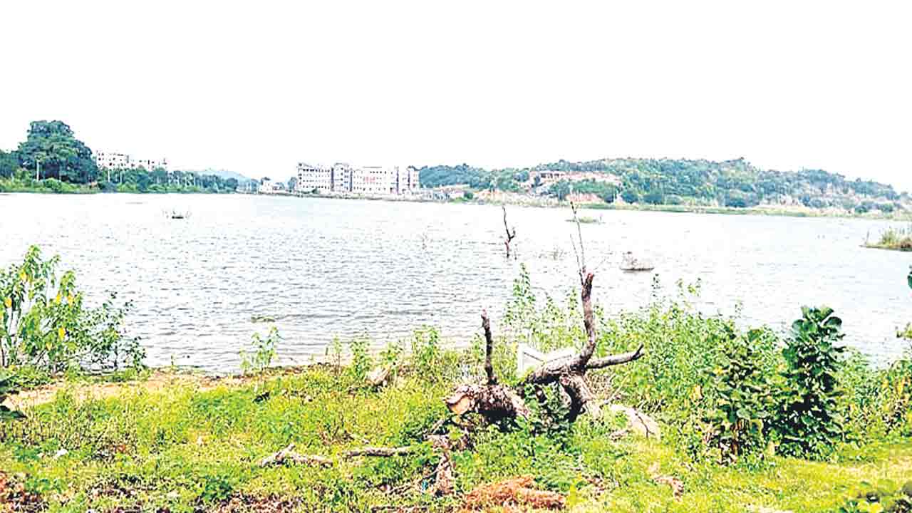 భూగర్భంలో జలసిరి