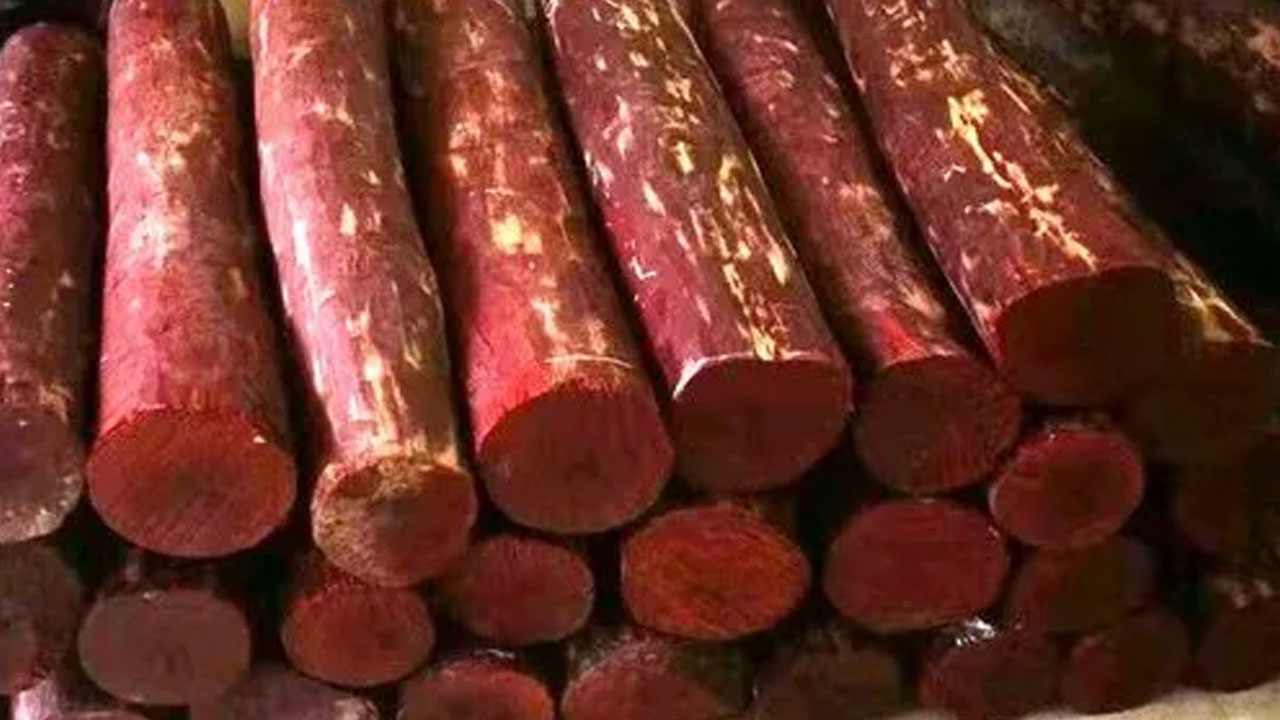 Red Sanders: 125 కిలోల ఎర్ర చంద‌నం ప‌ట్టివేత‌