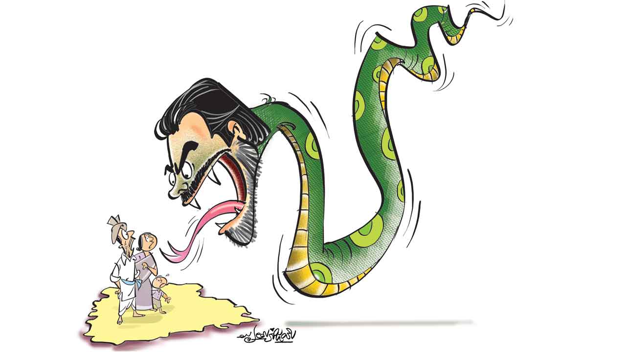 గుడ్డి గేదెల్లో గూని గేదె!