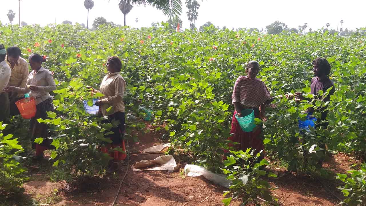 సాగు..బాగు