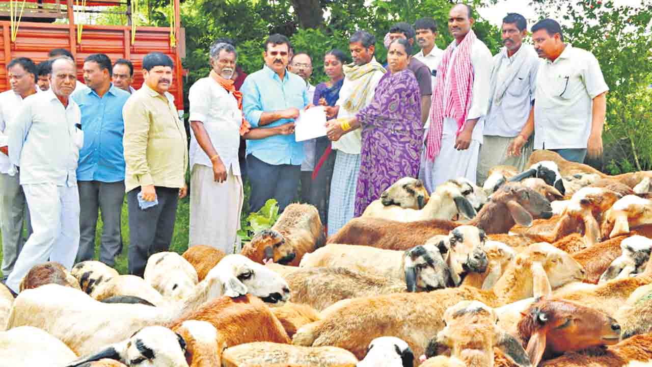 గొల్ల, కురుమల జీవితాల్లో వెలుగులు