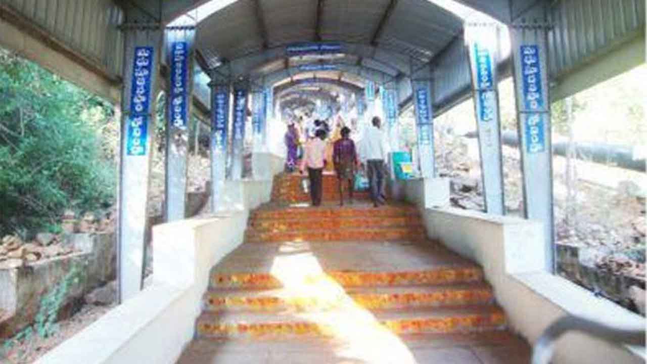 చిరుతల కోసం ప్రత్యేక బృందాలు