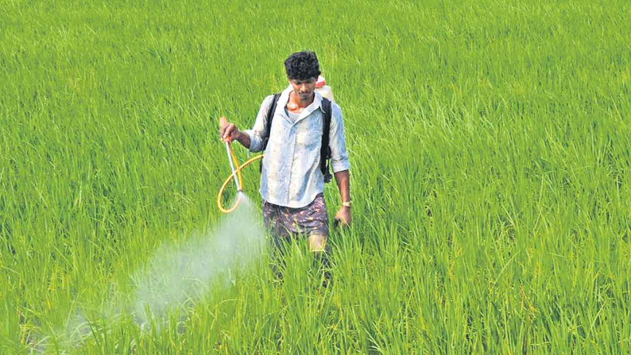 ఇలా చేస్తే.. పంటలు పైలం