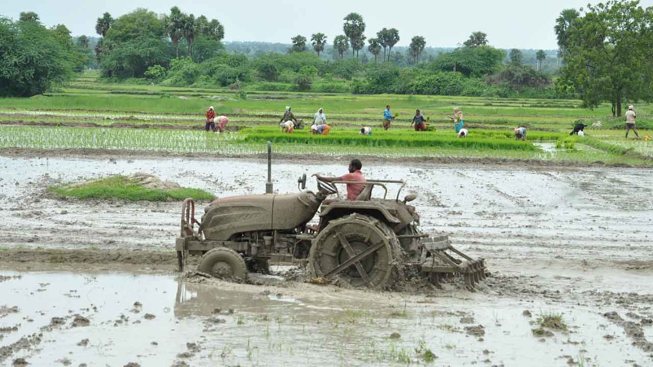 రైతు బీమా @2,88,731