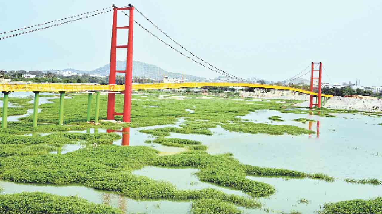 పాలమూరు సిగలో.. తీగల మణిహారం