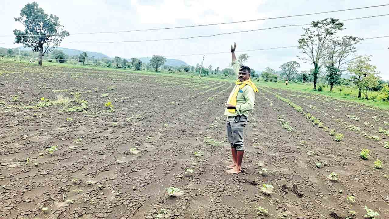 అప్రమత్తతే ఆయువు