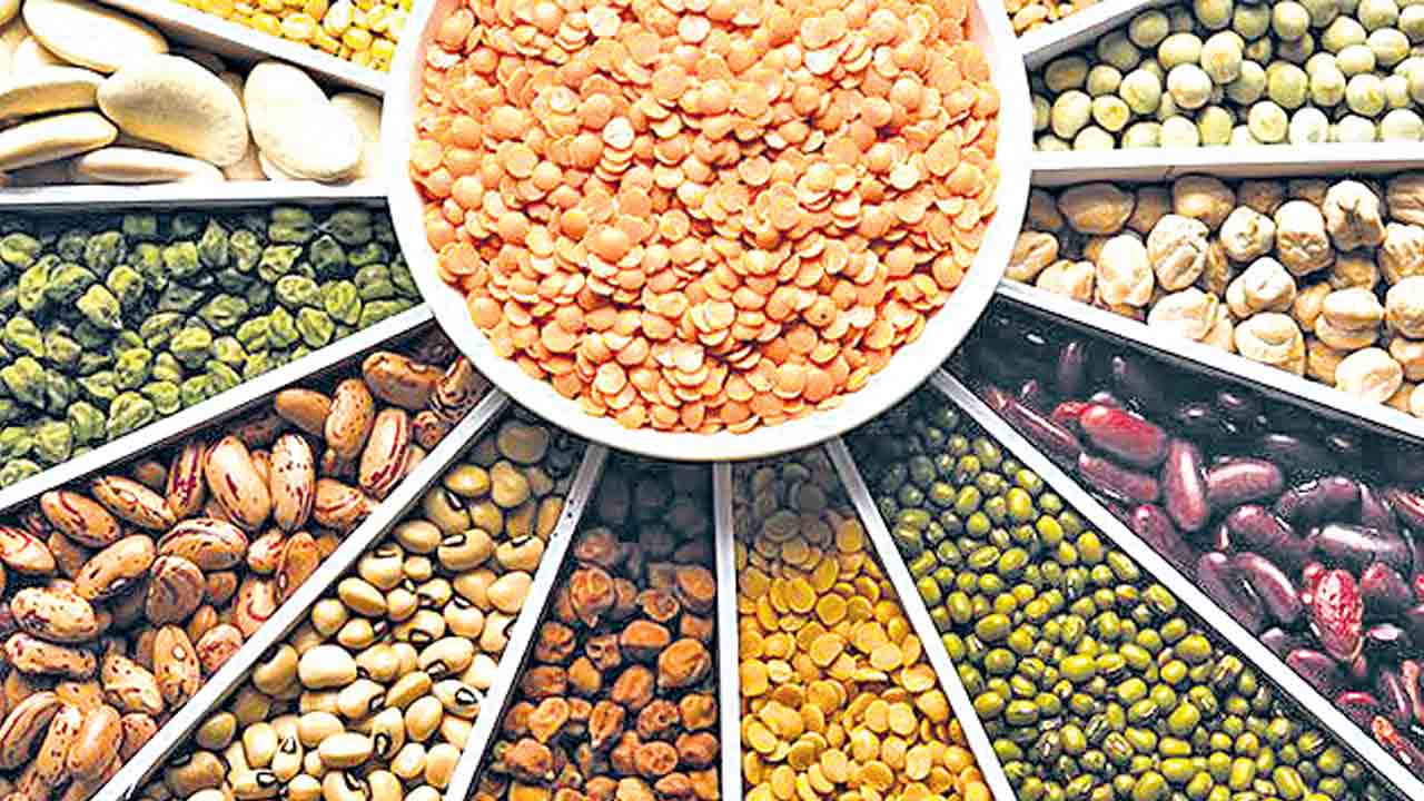 ఏం తీసుకోవాలి.. ఎంతెంత తినాలి