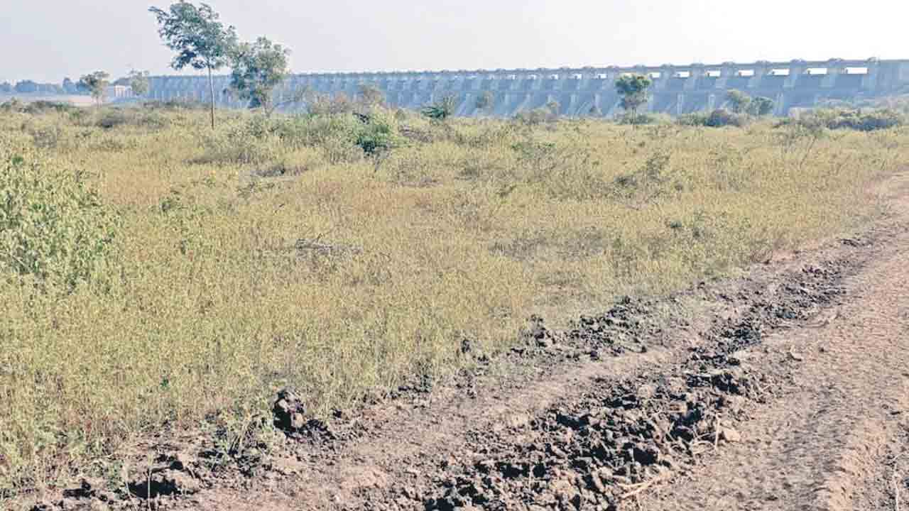 ఆయిల్ మిల్లుకు చకచకా అడుగులు