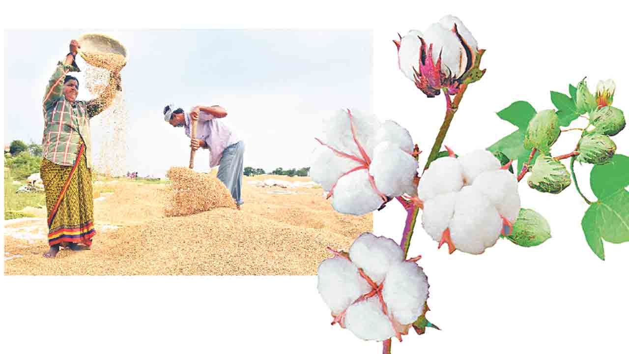 పంటలకు మద్దతు ధర ఖరారు