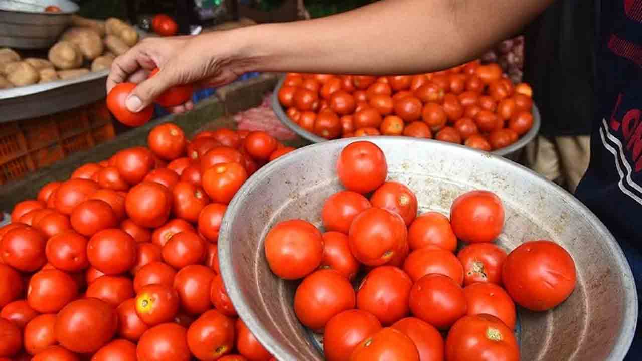మదనపల్లెలో కిలో టమాట రూ.9