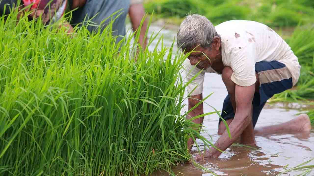 వ్యవసాయానికి మహర్దశ