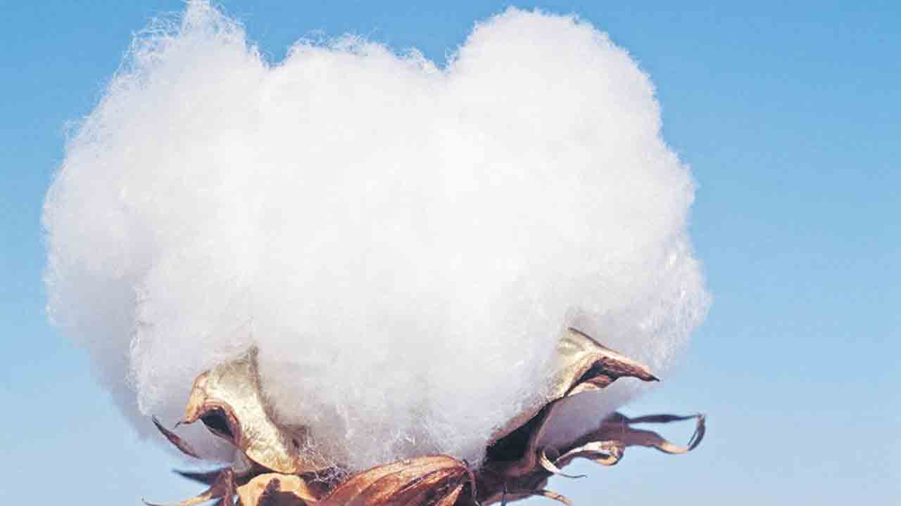 గతేడాదికి మించి..