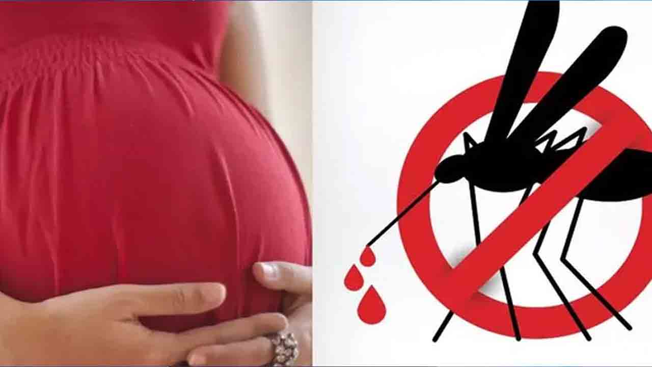 Dengue | కడుపులో బిడ్డకు డెంగ్యూ.. కోల్‌కతాలో అతి అరుదైన కేసు నమోదు