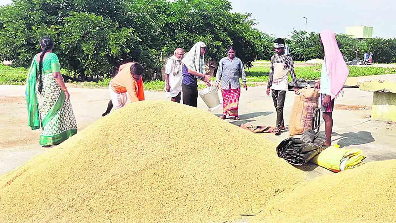 ధాన్యం కొనుగోలుకు బయోమెట్రిక్‌