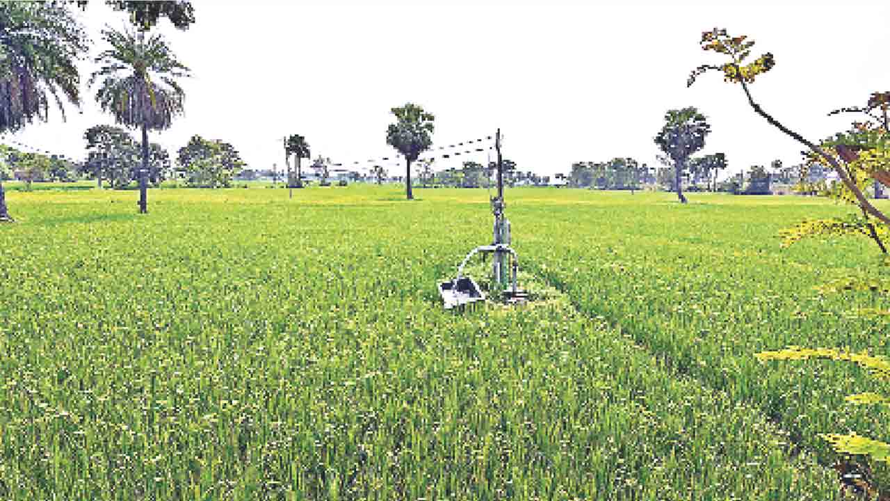 ధాన్యం కొనుగోళ్లకు సన్నద్ధం