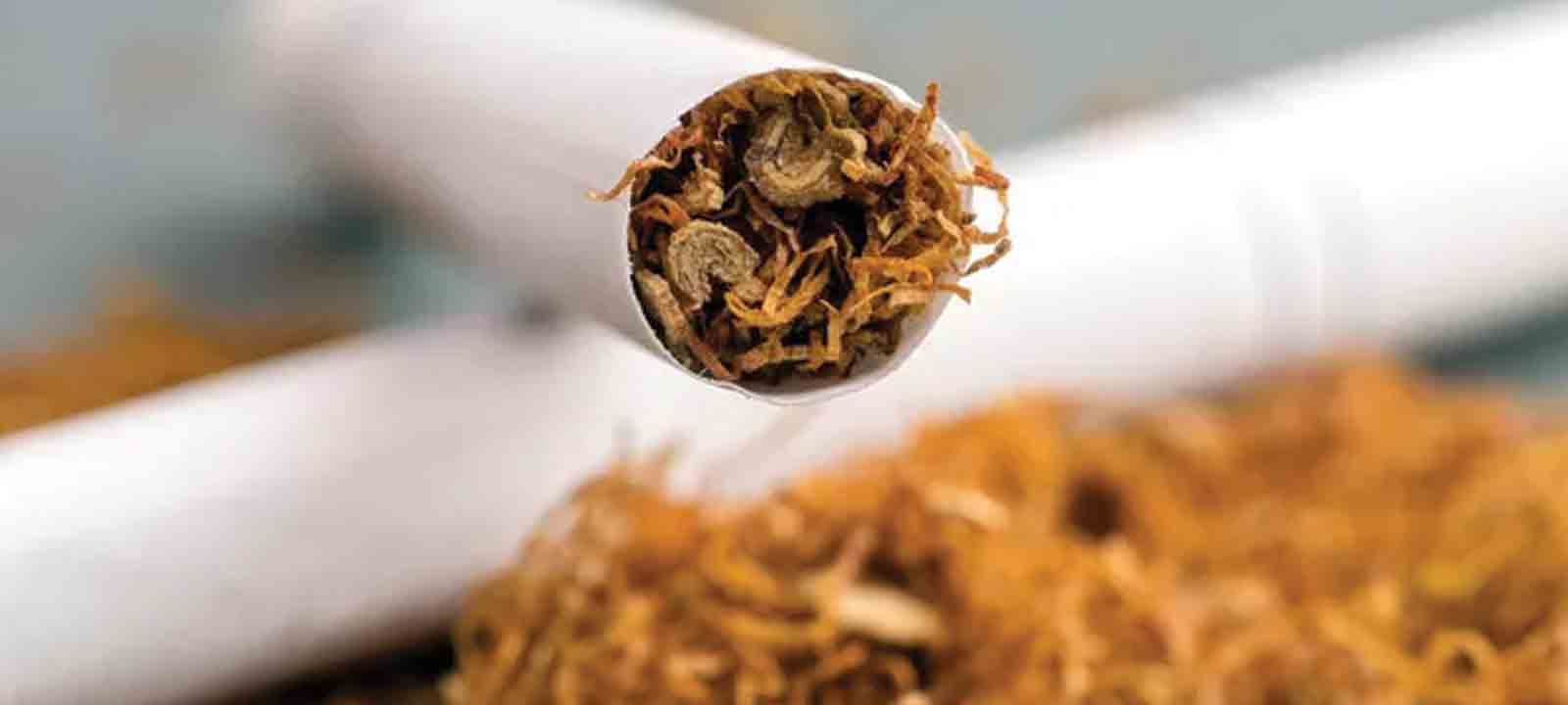 పొగాకులో నికోటిన్‌ 40-50% తగ్గింపు