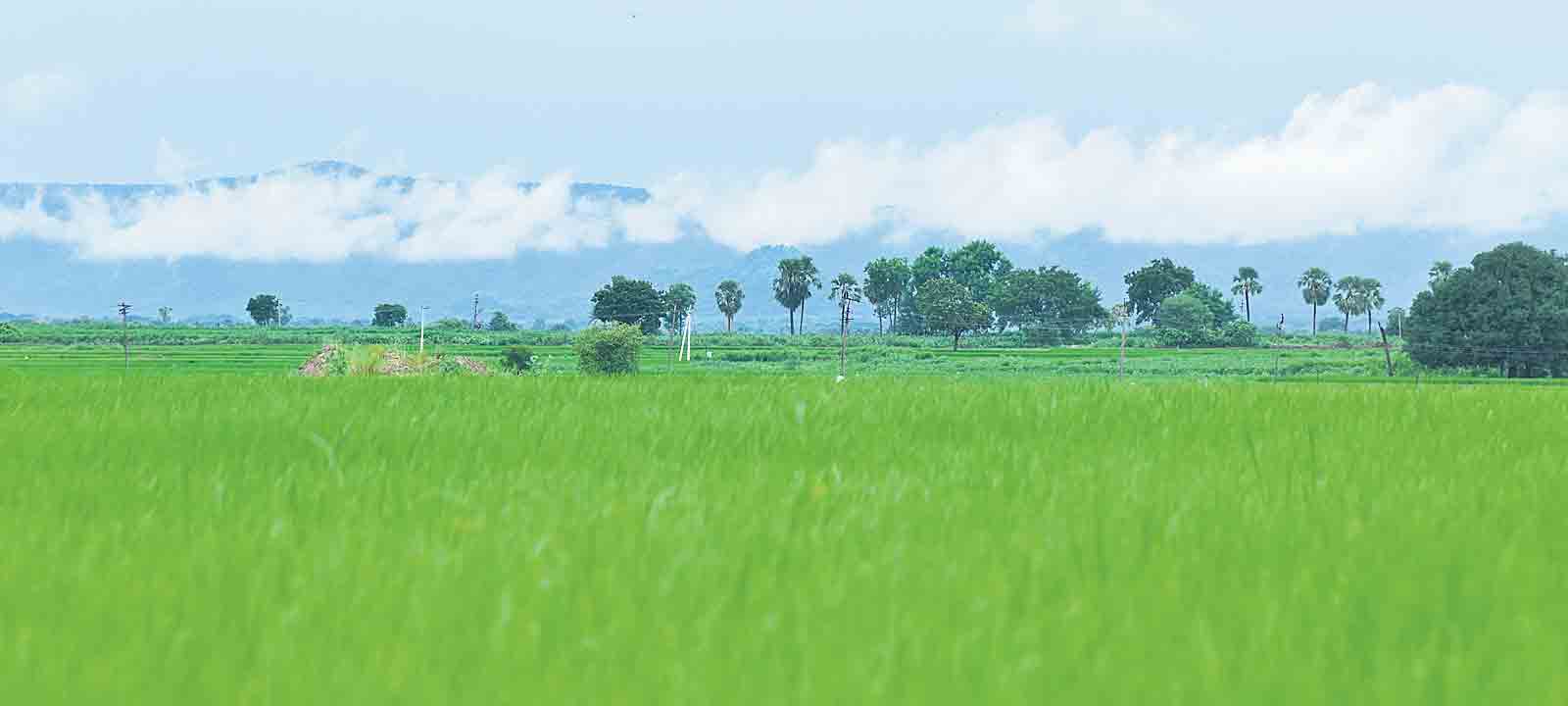 అందాల కనువిందు..